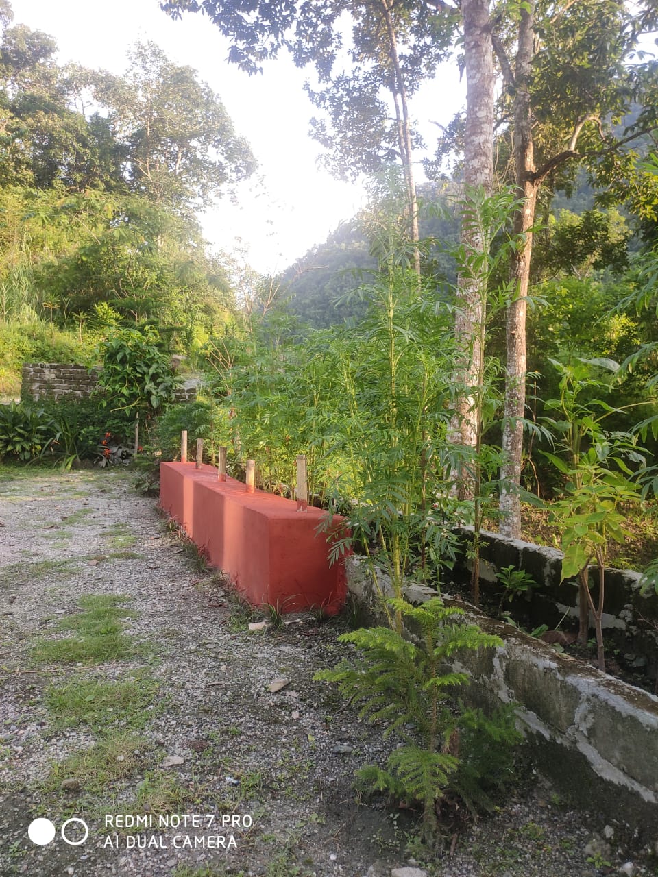 Rishikhola Experience